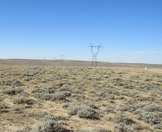 Transmission lines in an open field